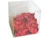 Acrylic Ticket Box