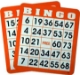 300 Plastic Coated Bingo Cards