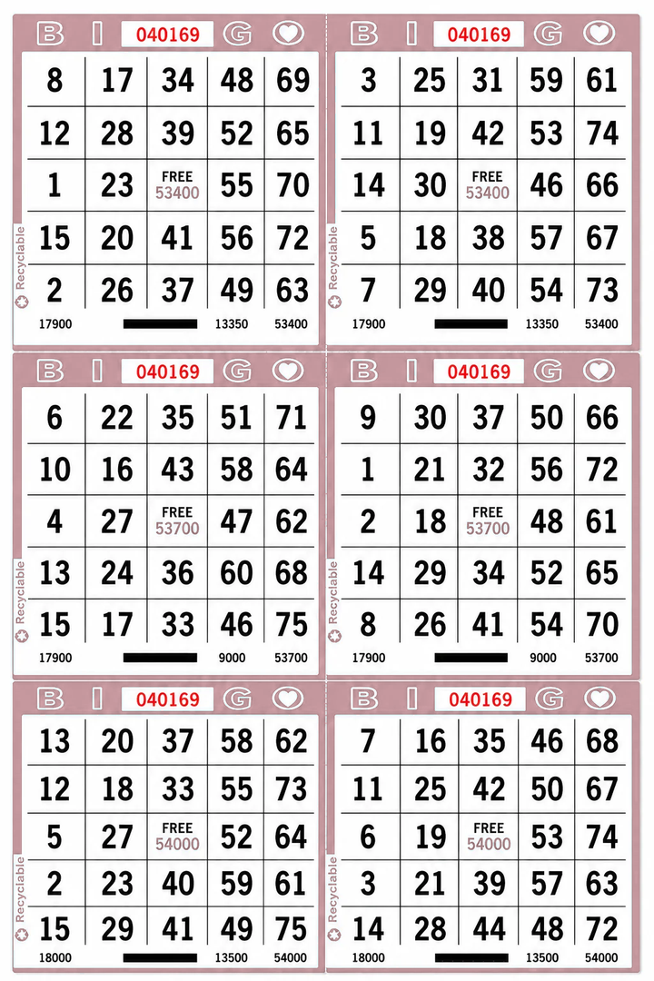 6-Face Vertical Bingo Paper - pink