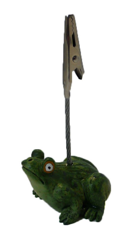 Frog Ticket Holder 