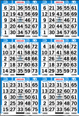 6-Face Vertical Bingo Paper Bingo, Paper, Single, case