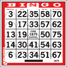 1-On Pushout Bingo Card